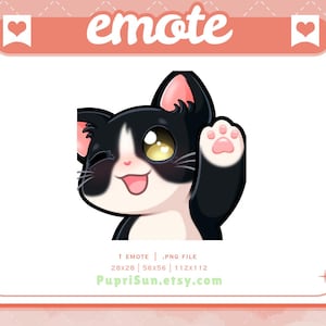 Emote Tuxedo Cat Hi : chaton noir et blanc pour les streams Twitch