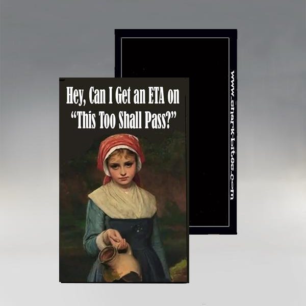 Magnet - Hey Can I Get an ETA on that "This Too Shall Pass?"; Funny Political Magnet; Sarcastic Refrigerator Magnet