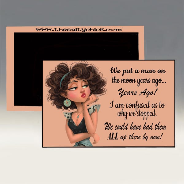 Magnet - We Put a Man on the Moon Years Ago...Years...I am Confused As to Why We Stopped.  We Could Have Had them All Up There by Now