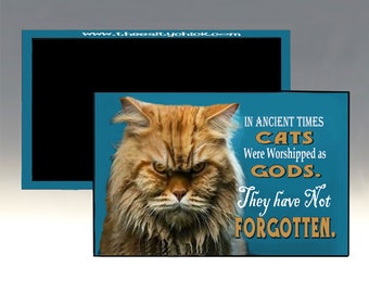 Magnet - In Ancient Times Cats were Worshipped as Gods.  They Have Not Forgotten; Cat Refrigerator Magnet; Angry Cat Magnet