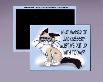 Magnet - What Manner of Jackassery Must We Put Up With Today;? Disgruntled Cat Refrigerator Magnet; Sarcastic Magnet; Funny Magnet