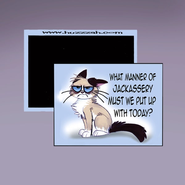 Magnet - What Manner of Jackassery Must We Put Up With Today;? Disgruntled Cat Refrigerator Magnet; Sarcastic Magnet; Funny Magnet