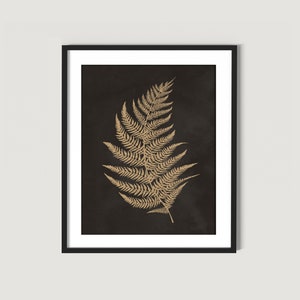 May include: A gold fern frond silhouette on a black background. The fern is a botanical illustration with intricate details. The image is framed in a black frame.