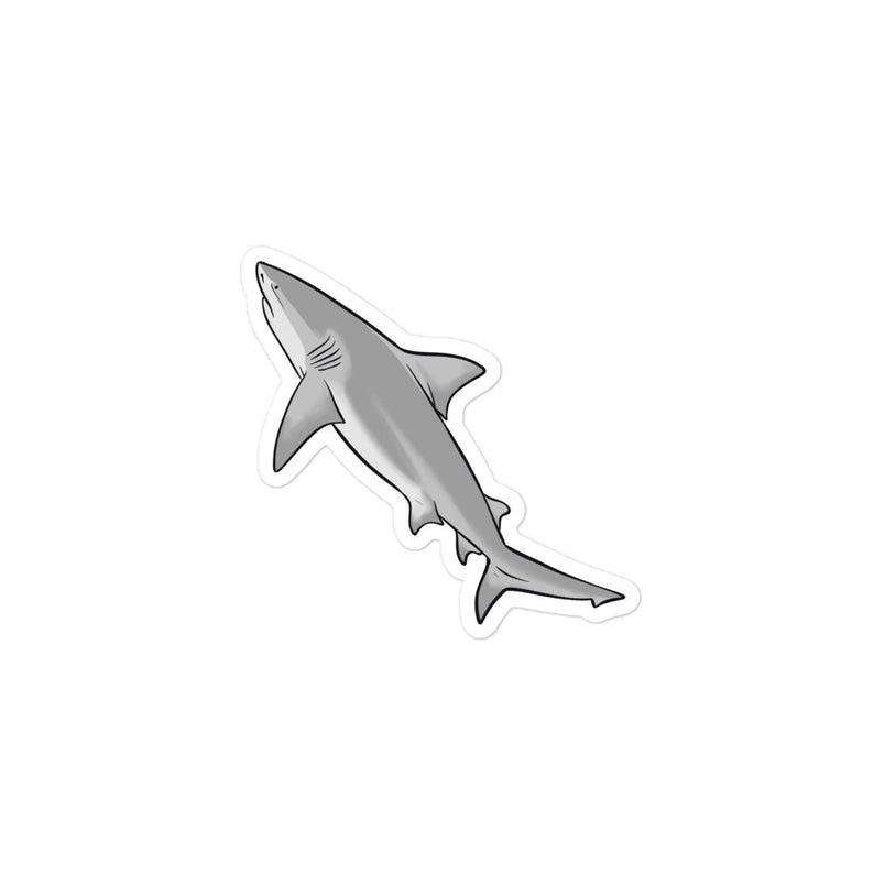 Bull Shark Bubble-free Stickers, Shark Sticker, Beachy Sticker, Marine ...
