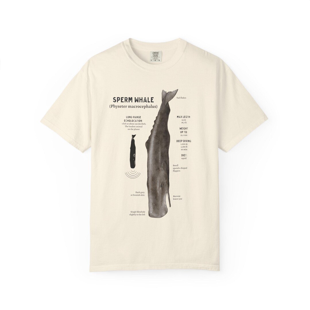 Comfort Colors Sperm Whale Anatomy T Shirt, Whale T Shirt, Ocean
