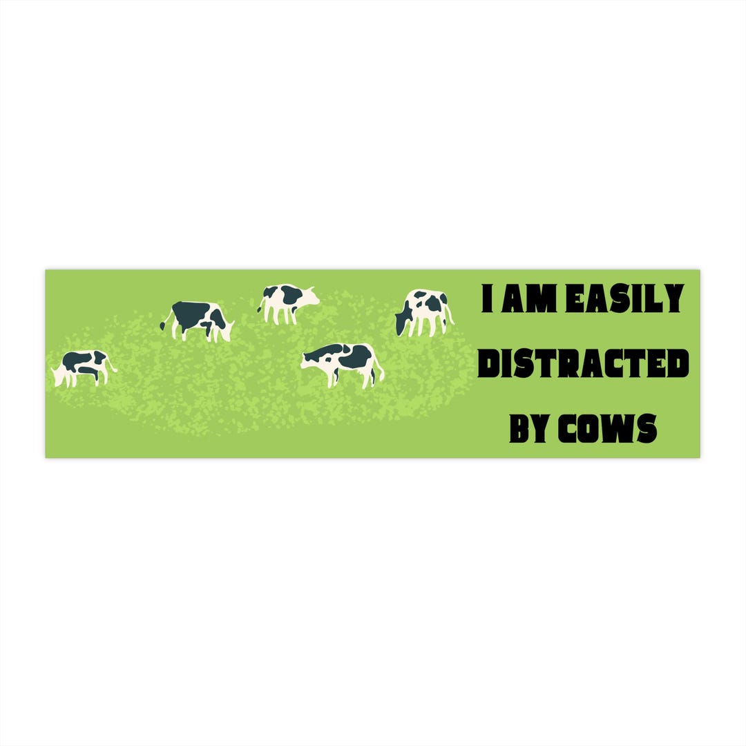 Funny Bumper Stickers, Fun Car Decals, Country Humor Stickers, I Am ...