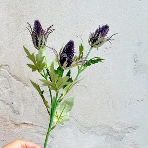 May include: A single stem of artificial thistle flowers. The flowers are a deep purple with spiky bracts, and the leaves are green. The stem is held by a hand against a textured, off-white wall.
