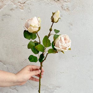 May include: A stem of artificial roses with two open blooms and a bud. The flowers are a soft pink with green leaves. The stem is held by a hand against a textured, off-white background.
