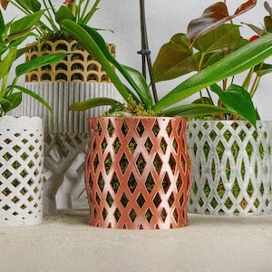 Unique Orchid Pot, Plant Pot with Drainage and Saucer, 3D Printed Planter, Use Leca  & Aroid Mixes, Matte White,  Lightweight, Capricious