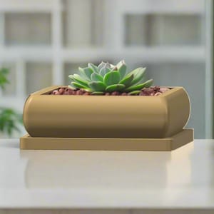 May include: A small, gold-colored rectangular planter with rounded edges, holding a green succulent plant and small brown pebbles. The planter sits on a matching rectangular base. The background is blurred, suggesting an indoor setting.