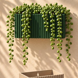 May include: A rectangular dark green wall planter with a vertical ribbed texture, containing a trailing string of pearls plant with numerous small, round, green succulent beads cascading down the sides of the container.