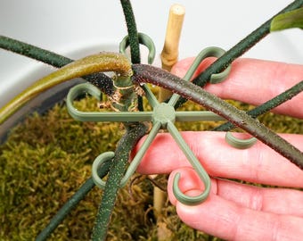 Support pour tige de plante d'intérieur grimpant, piquets, accessoires pour plantes pour Philodendron, Alocasia, Monstera et plus, paquet de 6 tailles
