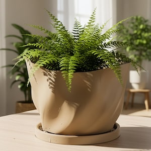 May include: A large, beige ceramic planter with a fern plant. The planter has a unique, twisted design and sits on a matching saucer. The fern has vibrant green fronds. Other plants and furniture are visible in the background.
