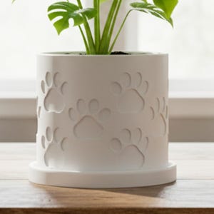 May include: A white cylindrical plant pot with embossed paw prints, containing a green Monstera plant. The plant has large, split leaves. The pot sits on a matching saucer, on a wooden surface.