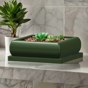 Peut inclure: Un pot rectangulaire vert foncé aux bords arrondis, contenant plusieurs petites plantes succulentes et du paillis brun. Une plante en pot blanche avec des feuilles vertes est à gauche. Le pot est posé sur un plateau assorti.