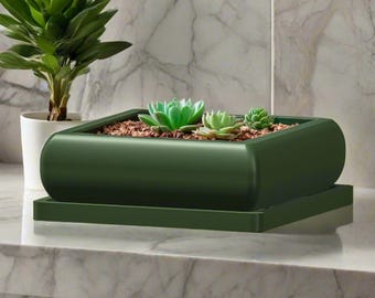 Bubble Plant Pot Einzigartige, Einring-Blumentöpfe mit Drainage und Auffangschale Untersetzer, Große flache Schüssel-Pflanzgefäße, Bonsai und Sukkulenten