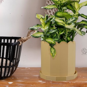 May include: A yellow plastic planter with a scalloped rim, holding a green and white variegated plant. The plant is in a room with a wooden table and a black wicker basket.