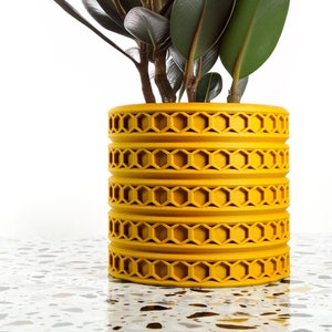 Op de afbeelding: Een gele pot met een honingraatpatroon waarin een groene rubberplant staat. De pot is gemaakt van een getextureerd materiaal en heeft een cilindrische vorm.