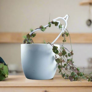3D Eggplant Trellis for Indoor Plants,  Climbing,  Potted,  Outdoor Houseplant Support Stake