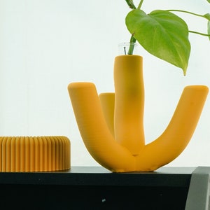 Plant Propagation Station, 3D Printed Bookshelf Decor, Modern Coffee Table Centerpiece, Maximalist Coquette Decor