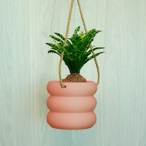 Hanging Plant Pot, 3D Printed Planter, Hanging Wall Planter with Drainage, Minimal Decor, 4 5 6 7 8 Inch Plant Pots in Matte Terracotta