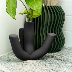 May include: A black ceramic vase with a unique, organic shape, holding a small plant with green leaves. The vase is sitting on a countertop next to a green vase with a wavy design.