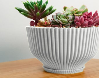 Succulent Planter Pot with Drainage and Saucer, Bonsai Planter Pot Unique, Cacti and House Plant Planter, Lightweight Wide Bowl