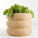 see more listings in the All Color Planters section