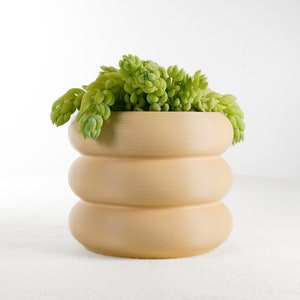 May include: A light beige ceramic planter with a ridged design, featuring a green succulent plant.