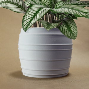 Bubble Planter Pot, 3D Printed Planter, Planter with Drainage, Vintage Siena Minimal Decor, 4 5 6 7 8 Inch Plant Pots in Matte White