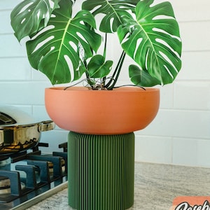 The Pedestal Planter Pot with Stand and Water Drip for Indoor Monstera Plant Pot, Modern Gifts for Plant Lovers, Original Design, 10 Inch