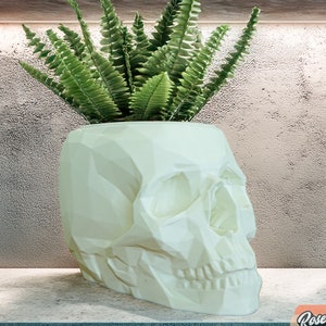May include: White geometric skull planter with a green fern plant growing out of the top.
