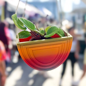 Hanging Rainbow Planter, 3D Printed Planter, Cute Minimal Gift, Hanging Planter Pots Nordic Style, 4 inch Plant Pot Patio Decor,