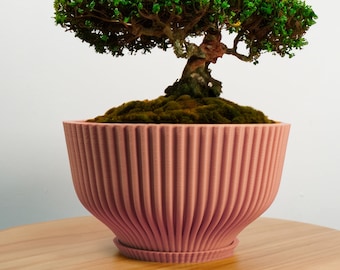 Bonsai Pot with Drainage and Saucer, Succulent Arrangement Planter Pot Unique, Cacti and House Plant Planter, Lightweight Wide Bowl