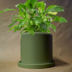 May include: A green potted plant with long, dark green leaves. The plant is in a green ceramic pot with a matching saucer.