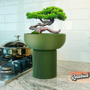 The Pedestal Plant Pot with Stand and Water Catch for Indoor Bonsai Pot, Modern, Gifts for Plant Lovers, Original Design