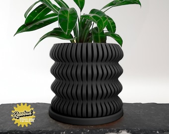 May include: A black wavy planter with a green plant inside. The planter has a matching black saucer.