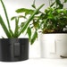 see more listings in the All Color Planters section