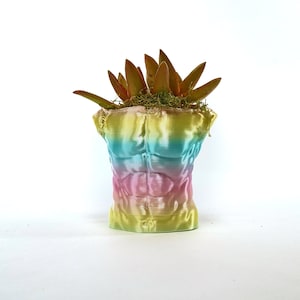 May include: A rainbow-coloured planter shaped like a human torso with a succulent plant growing inside.