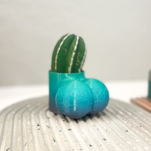 Cock Pot, Male Body Planter, 3D Printed Planter, Planters with Drainage, Housewarming Gag Gifts, bachelorette gift, panic cactus, funny plant lover gift, plants, pots with drainage, unique planters, blue balls,