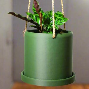 May include: A green hanging planter with a plant inside. The planter has a rope hanger and a saucer.