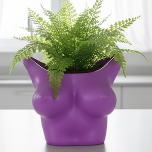 Female Body Planter, Boob Plant Pot, 3D Printed Planter Pot, Funny Anniversary Gift for Boyfriend, Unique Home Decor, Torso Planter