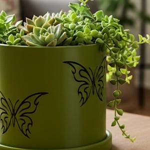 May include: A green cylindrical planter with black butterfly designs, filled with green plants, sits on a wooden table. The planter has a matching saucer. Other potted plants are visible in the background, creating a natural, indoor theme.