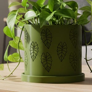 May include: A green plant pot with a leaf pattern contains a vibrant green plant. The pot is on a wooden table. Other plants in white pots are in the background. A sofa with grey cushions is also visible.