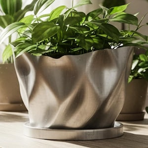 May include: A collection of potted plants on a wooden coffee table. The plants vary in size and shape, with vibrant green leaves. A large, textured silver pot is the focal point, adding a modern touch to the natural setting. The scene is bathed in soft sunlight.