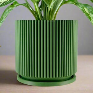Mid-Century Modern Pot in Matte Olive Green, Pots with Drainage and Saucer, Succulent, Cacti and House Plant Planter, Lightweight