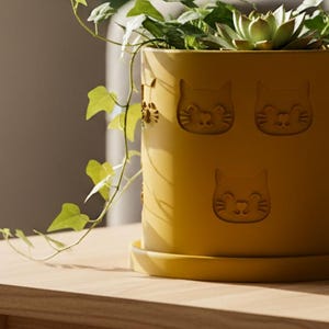 May include: A yellow ceramic plant pot with a cat face design, holding a green plant with trailing vines. The pot sits on a wooden table, with a window and couch in the background. The pot is approximately 15 cm in diameter.
