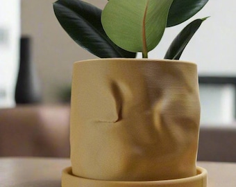 May include: A small, green plant with dark green leaves in a beige, textured ceramic pot with a matching saucer. The pot has a unique, wrinkled design.