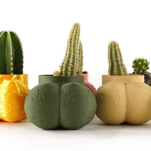 Cock Pot, Male Body Planter, 3D Printed Planter, Planters with Drainage, Housewarming Gag Gifts image 3