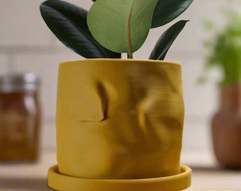 May include: A yellow ceramic planter with a textured surface, featuring a green leafy plant with dark green leaves.